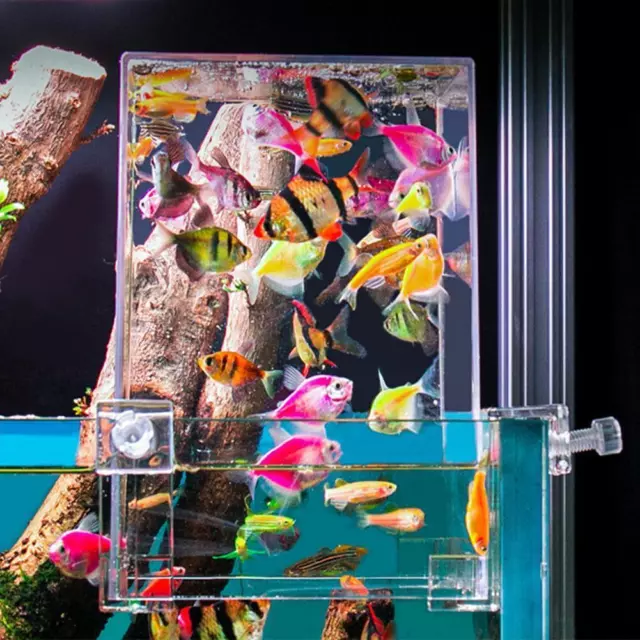 Small Aquarium Home Decor Fish Tank Betta Aquariums new Decor Office For D0S3 6