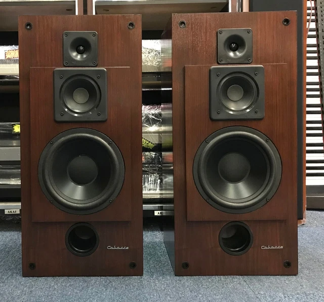 Enceinte Cabasse Corsaire M2 – Révisée, Garantie 1 An Incluse