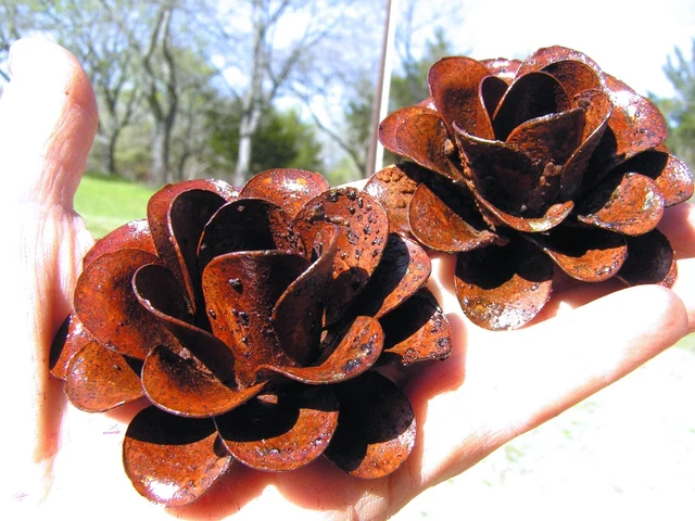 DOS rosas oxidadas grandes de metal envejecido, flores para artesanías, joyas, selladas