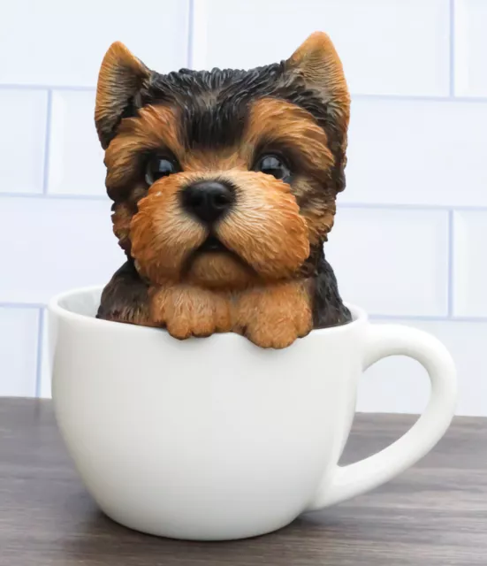 Realistic Adorable Yorkie Dog in Teacup Statue 6"H Pet Pal Yorkshire Terrier