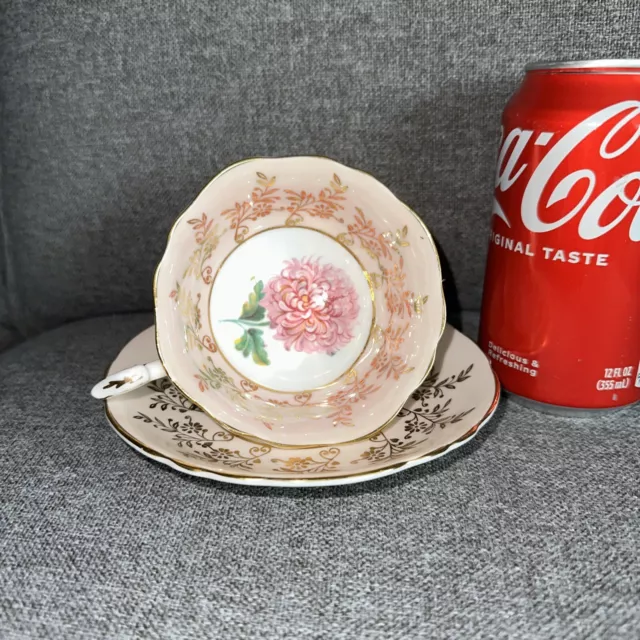 Paragon Vintage Pink Blush Chrysanthemum Floral Bone China Teacup Saucer Rare