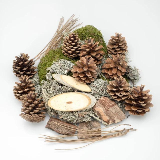 Popurrí forestal NaDeco 250 g, conos de abeto, corteza de árbol, musgo de lóbulo, discos de madera