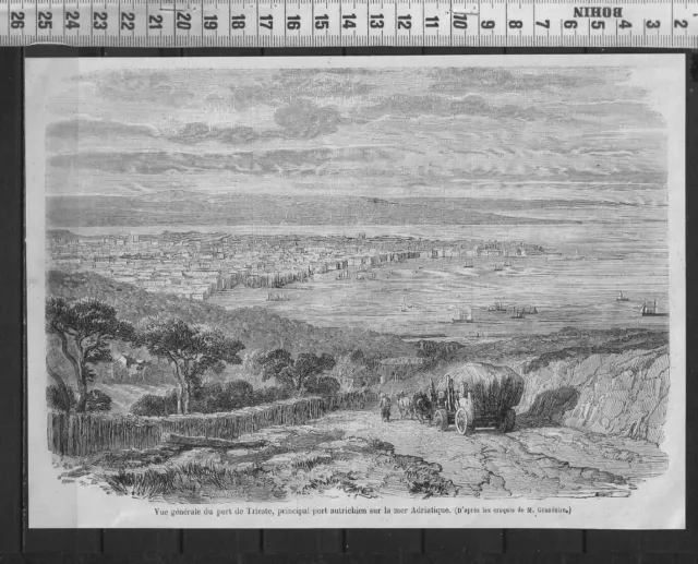 G360 / Engraving 1868 / General View Of The Port Of Trieste