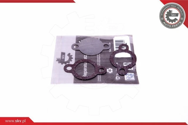 Kit riparazione valvola agr
