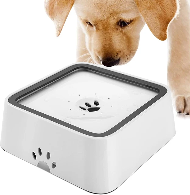 Tazón de agua para perro HAPPY HACHI sin derrame, tazón de agua grande para mascotas de 70 oz/2 L con filtro,