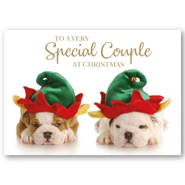 Biglietto di Natale per coppia speciale motivo cani con cappelli ecologico e