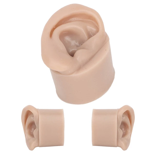 Simulazione Del Modello Di Pratica Del Piercing Al Silicone Orecchie Morbide Fle