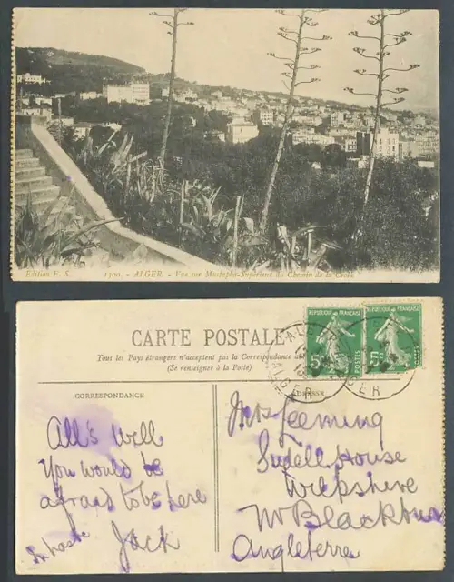 Algeria 5c 1913 Old Postcard Alger Vue sur Mustapha Superieur du Chemin de Croix