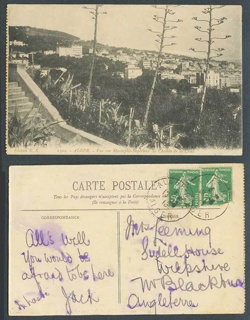 Algeria 5c 1913 Old Postcard Alger Vue sur Mustapha Superieur du Chemin de Croix
