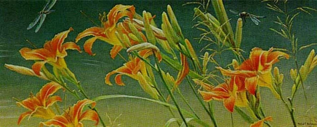 Robert Bateman Daylilies And Dragonflies with Original Lithograph