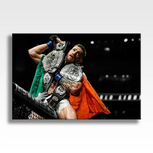 Poster stampa CONOR MCGREGOR UFC 205 MMA TELA arte da parete 30""x20"" TELA