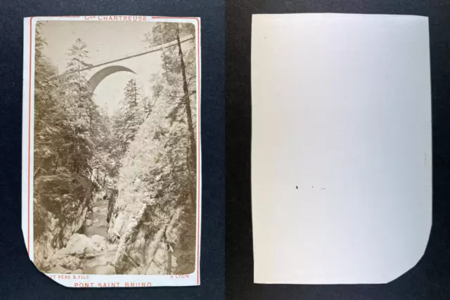 France, Grande Chartreuse, Pont Saint Bruno Vintage cdv albumen print CDV, tir