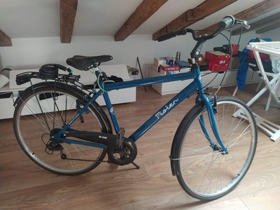 cerco biciclette da uomo in 2mano a paalazzolo