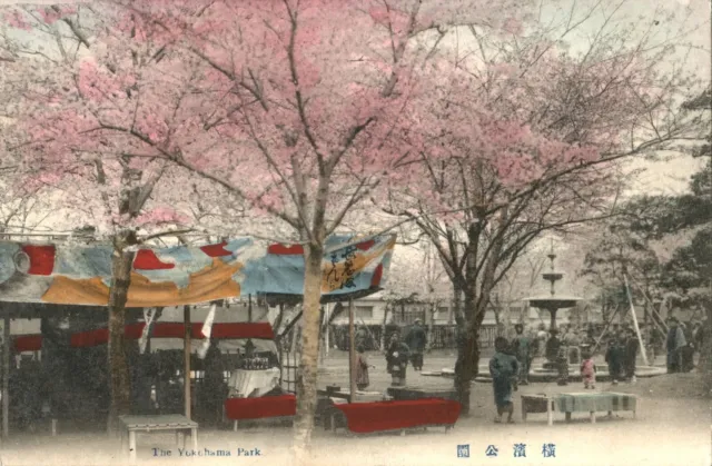 The Yokohama Park Japan postcard antique colour tinted