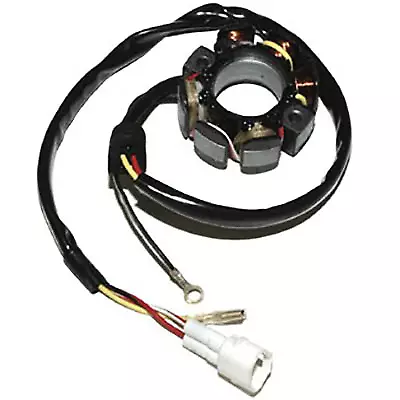 Electrosport Stator Bobine D''alternateur