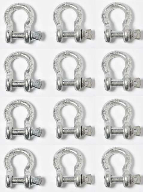 12x 1cm Schleife Fessel D-Ring W Clevis Schraube Pin Anker Feldherr 1 Ton 998kg