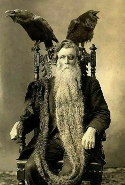 Antique Wizard Photo 832 Oddleys Strange & Bizarre