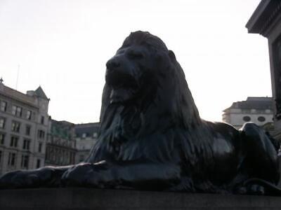 Photo 6x4 Trafalgar Square, Lion London  c2005