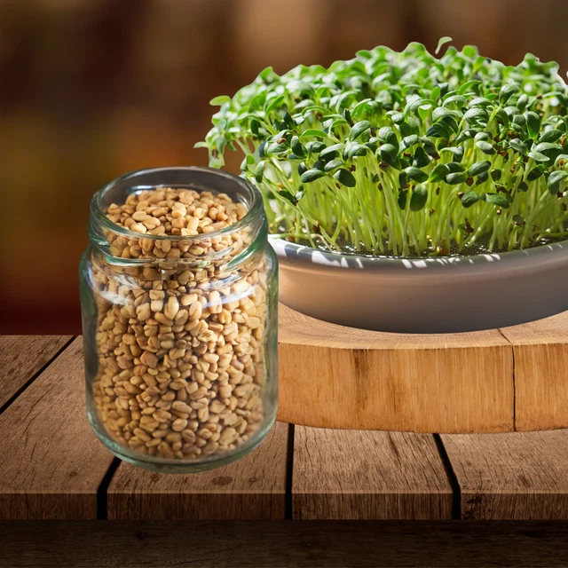 Germogli Di Ravanello Viola Microgreen Nella Tua Mano | Foto Premium - Foto 2