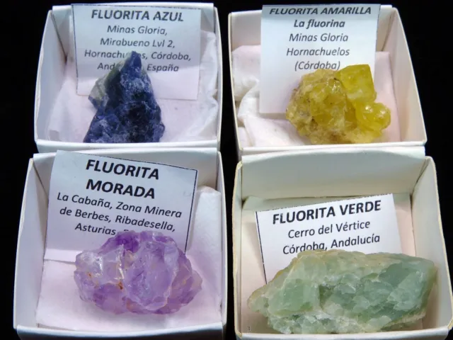 Pack de 4 Fluorites de 4 couleurs en boites de 4x4cm / minéraux de collection