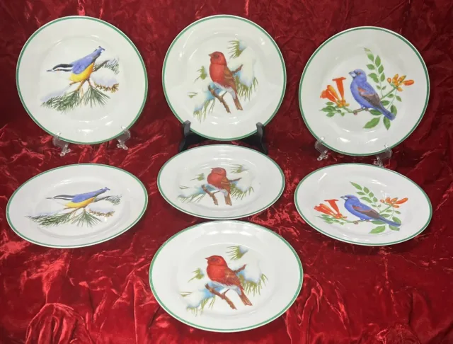 National Wildlife Federation 7 5/8”Porcelain Bird Salad/Lunch Plates Set of 7🕊