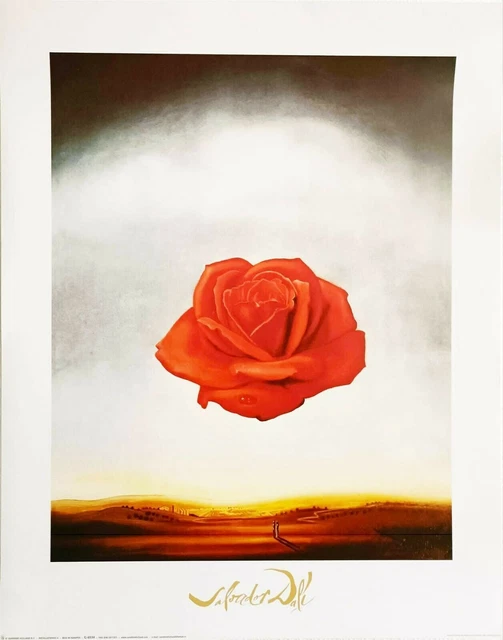 DALI - ROSA MEDITATIVA _ IMPRESIÓN ARTÍSTICA 19 por 15 pulgadas