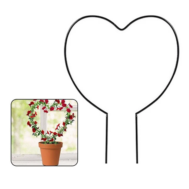 1 Stück Pflanze Unterstützung Rahmen Spalier Klettern Weinreben Blumen Ständer