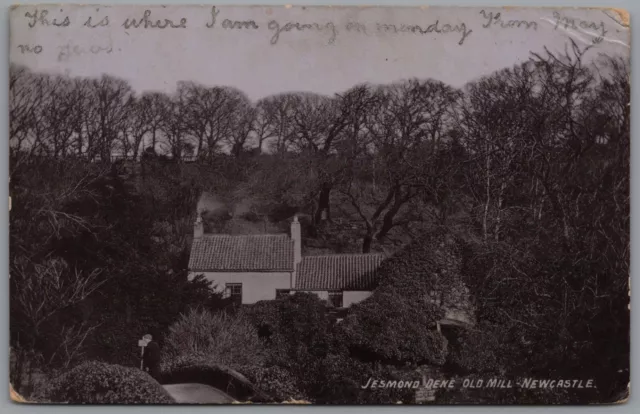 Jesmond Dene Old Mill Newcastle England Posted Postmark 1904 Postcard