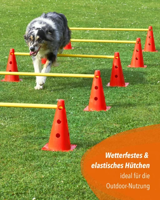 Kegelhürde 5er Set mit Stangen 100 cm rot/gelb Agility Hürde 3