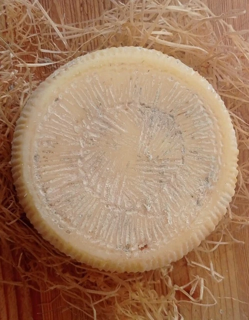 formaggio pecorino abruzzese, solo latte di pecora e caglio naturale, artg.