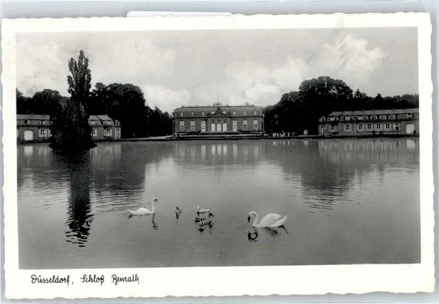 50843253 - 4000 Duesseldorf Schloss Benrath, Schwan Duesseldorf Stadtkreis