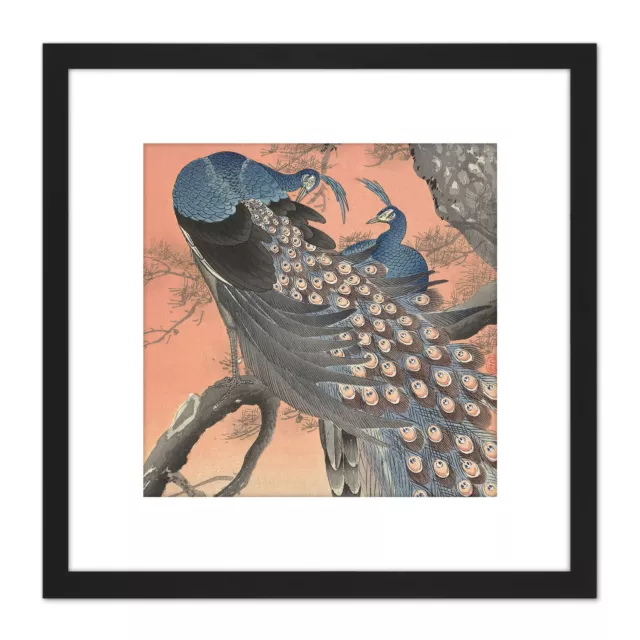 Ohara Koson Two Peacocks On Tree Branch Painting Square Framed Wall Art 8X8 In