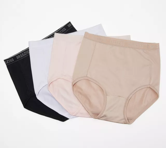 Breezies Nylon Microfiber Brief Panty Basic -Set of 4