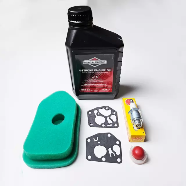 Briggs&stratton 158cc 2025