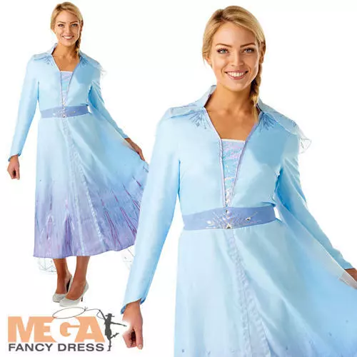 Princess Elsa Ladies Fancy Dress Frozen Disney Princess Adult Fairy Tale Costume