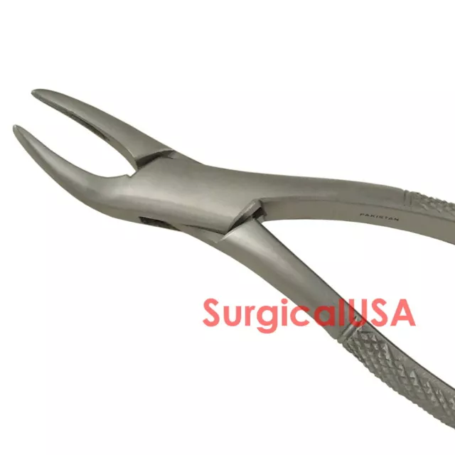 Extraction Forceps Witzel Supérieur Racines #588 Dentaire Instrument Chirurgical