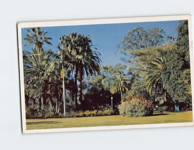 Postcard Alameda Park Santa Barbara California USA