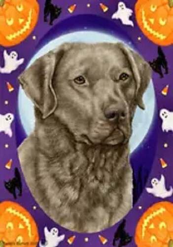 Halloween Garden Flag - Ash Chesapeake Bay Retriever