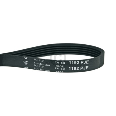Cinghia 1192 PJ 5 e come WHIRLPOOL 481935818148 1194 PJ 5 1194pj5 1194j5 5pj1194 5 