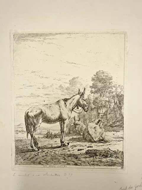 Carl Dujardin Antique Flemish Master Engraving Donkey and Cow 17th Century Look!
