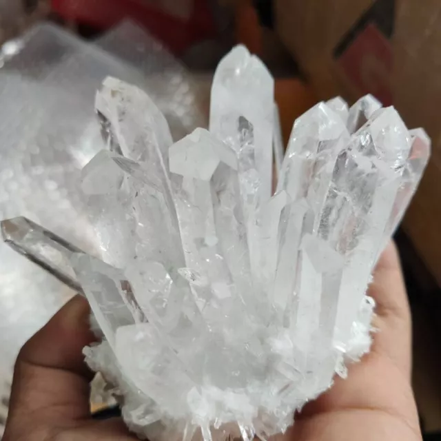 150g Groß Natürliche Weiß Klar Quarz Bergkristall Cluster Edelstein Rauh Proben