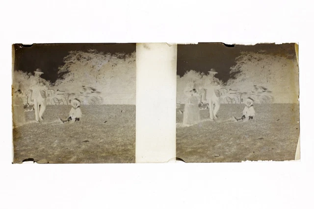 France Photo Amateur Stereo L13n7 Plaque de verre Vintage NEGATIF