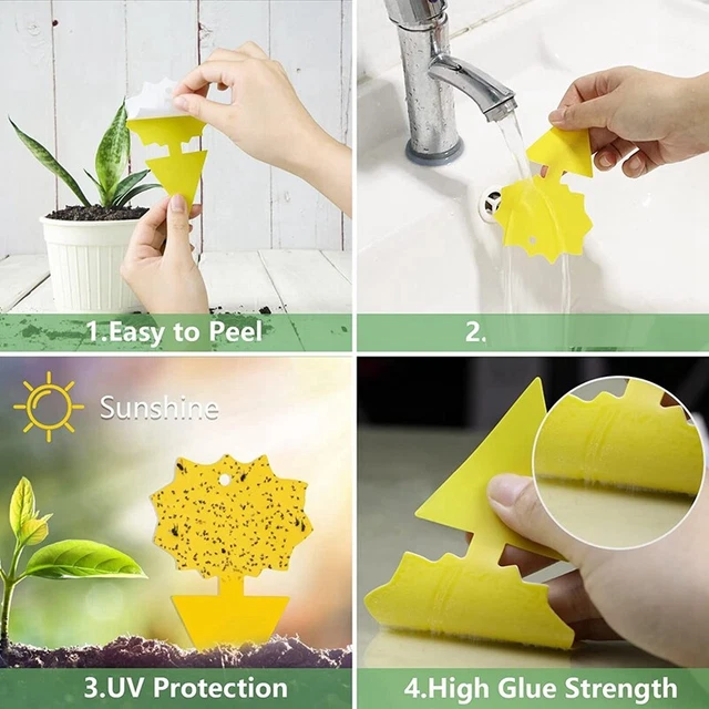 24 Pcs Sticky Traps for Fruit Fly,Whitefly, Gnat,Mosquito and Bug, A8J9 2