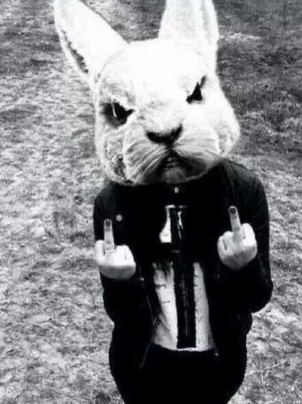 Antique Crazy Rabbit Photo 793b Oddleys Strange & Bizarre