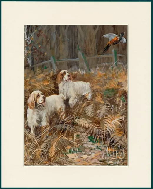 Clumber Spaniel Two Dogs  And Bird Lovely Dog Print Mounted Ready To Frame