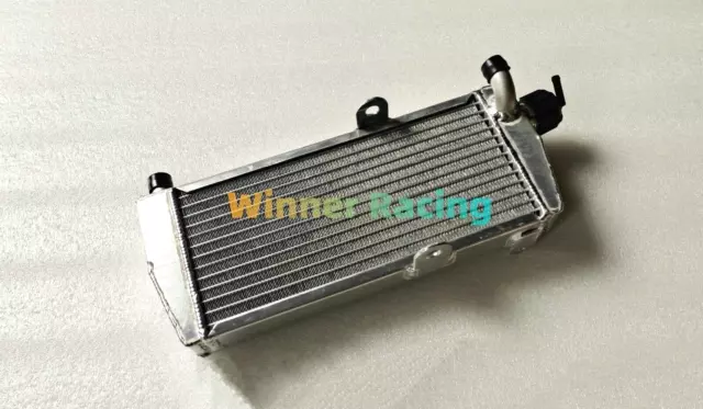 Fit Rotax Max 125 /Junior max Go-Kart 125 2011 - 2015 12 13 14 aluminum radiator