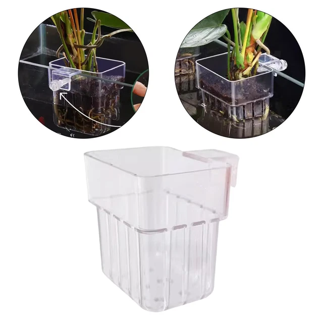 Lot De 6 Supports Transparents Pour Plantes D'aquarium - Compatible Verre ≤10 Mm, Diamètre Tige ≤14 Mm