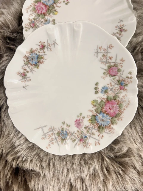 Assiette plate en porcelaine de limoges létang rémy Solstice