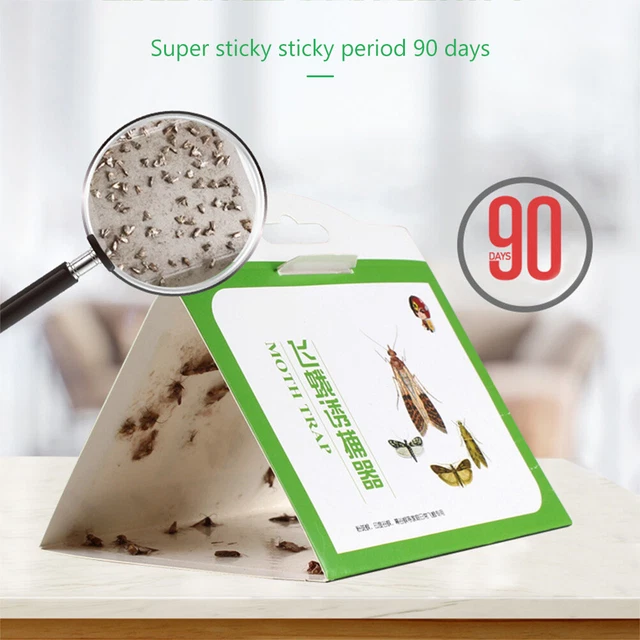 Premium Pantry Clothes Kitchen Food Moth Pheromone Attractant Moth Killer New YA