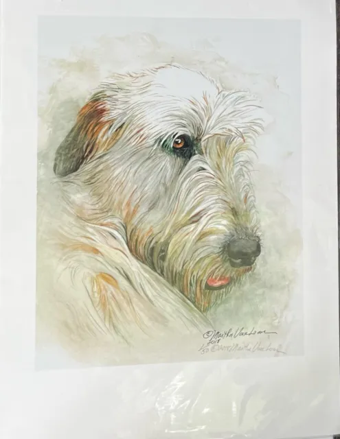 Irish Wolfhound Fawn Head Color Ltd Ed 11x14 Print By Van Loan